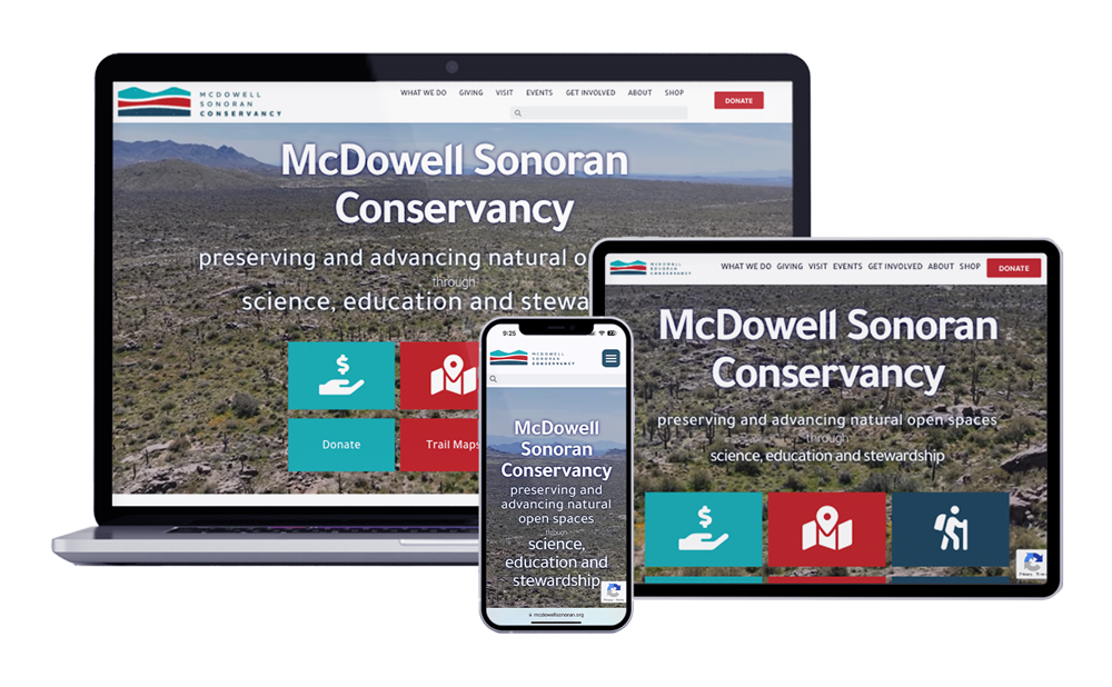 Phoenix Web Design Company | NEXTFLY