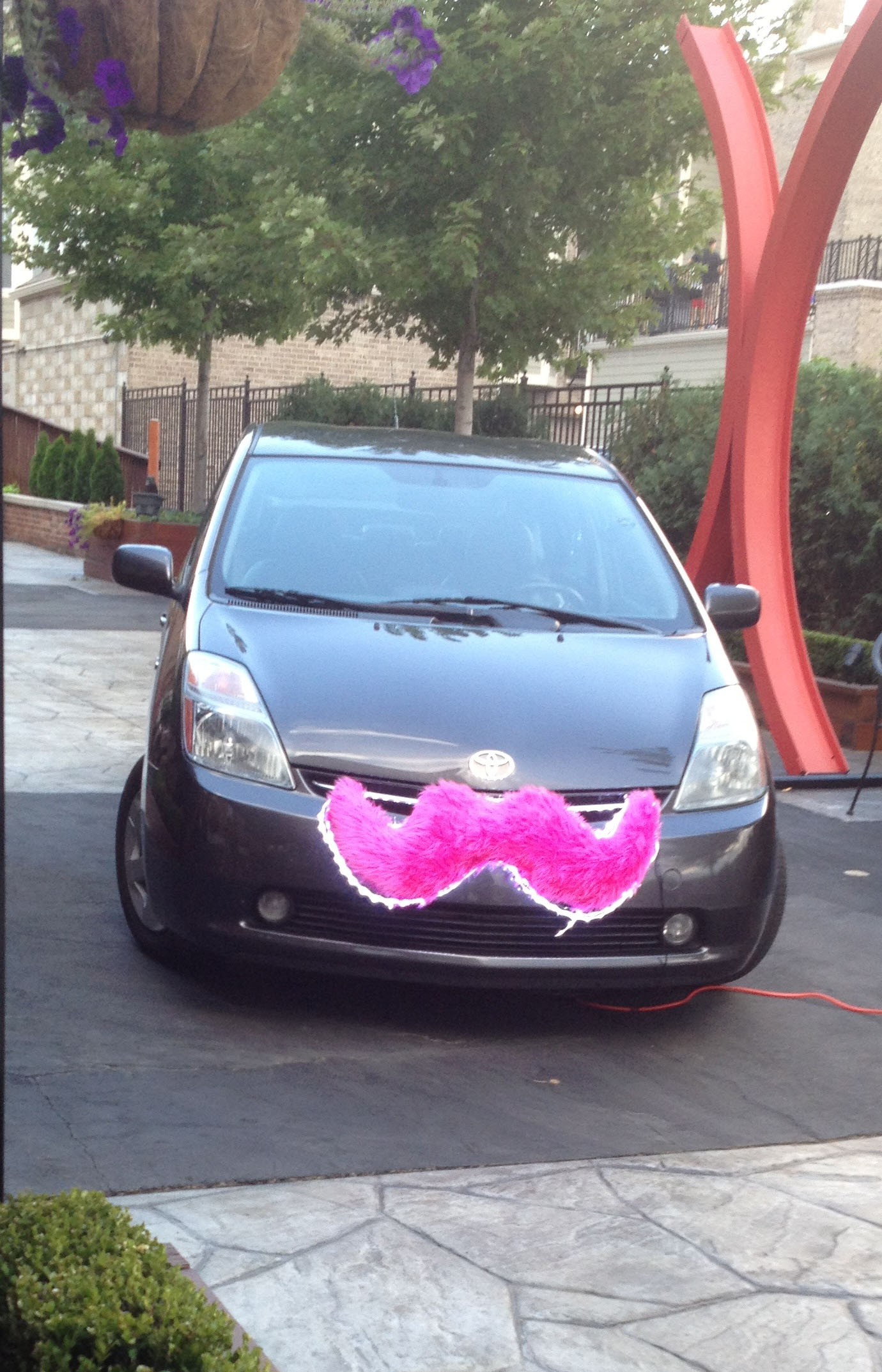 pinkstachecar