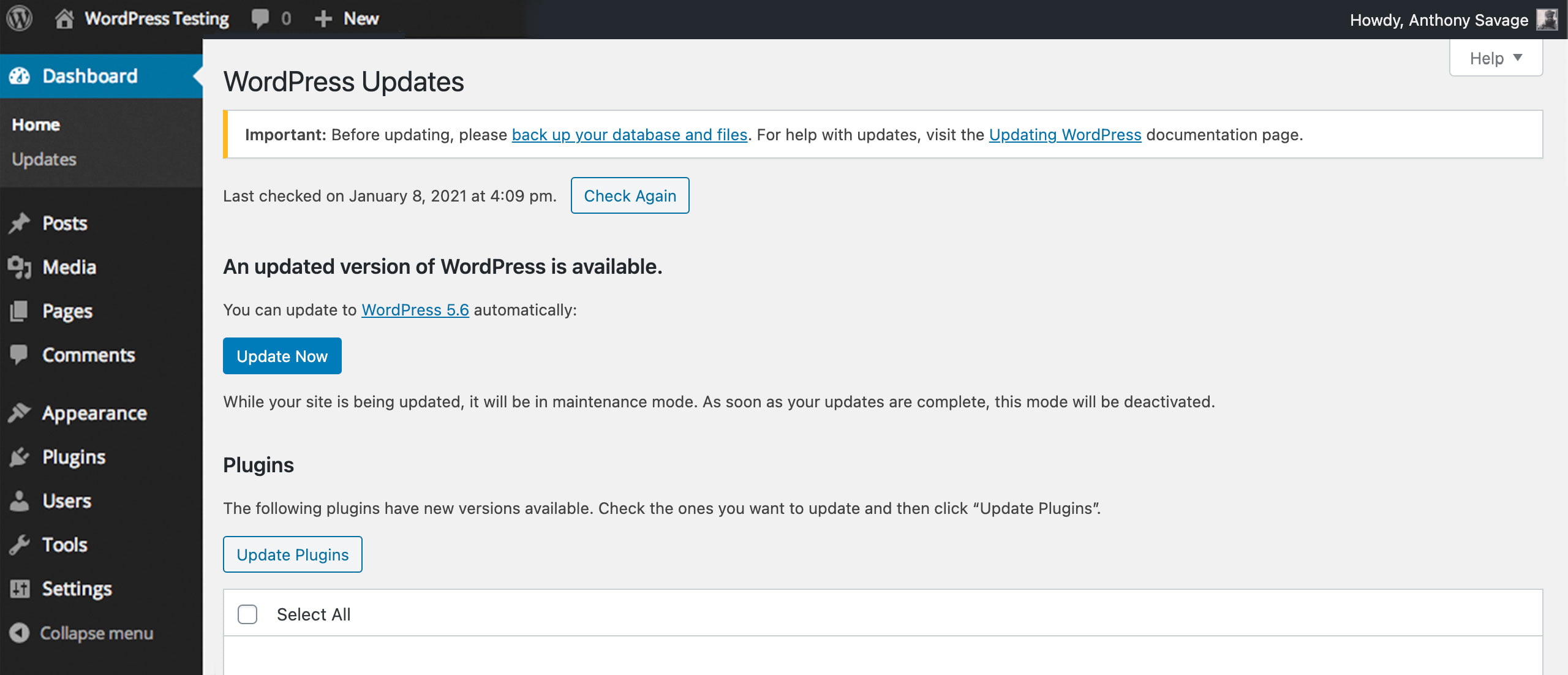 Update WordPress Page